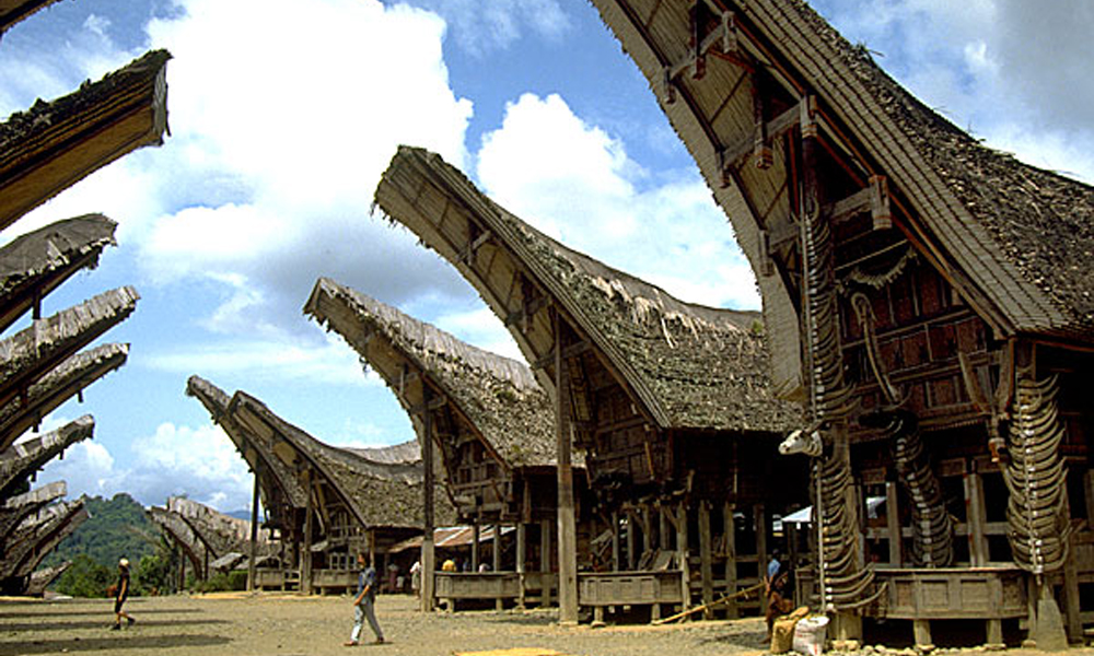 Tana Toraja 